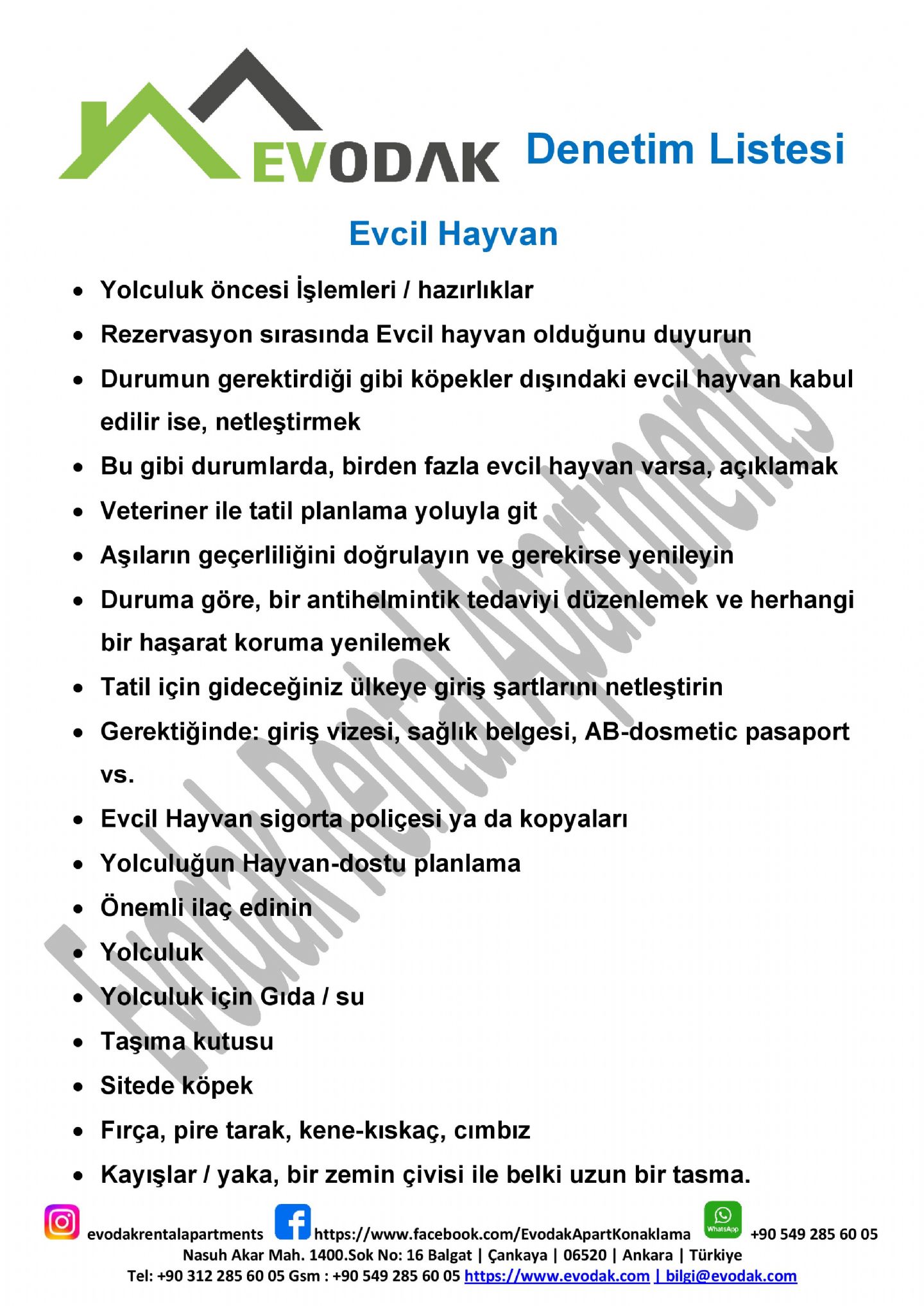 Evcil Hayvan