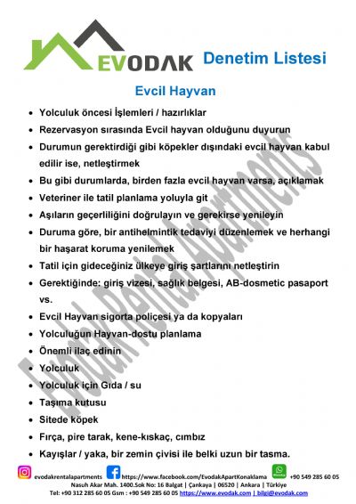 Evcil Hayvan