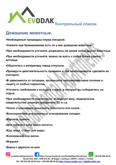 Домашние животные.